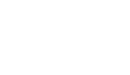 VIPO - Logo